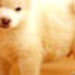 Profile picture of Witeusz